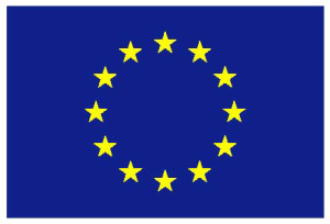 196-2 eu-flag