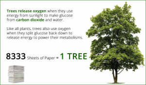 3- Tree-vs-Oxygen